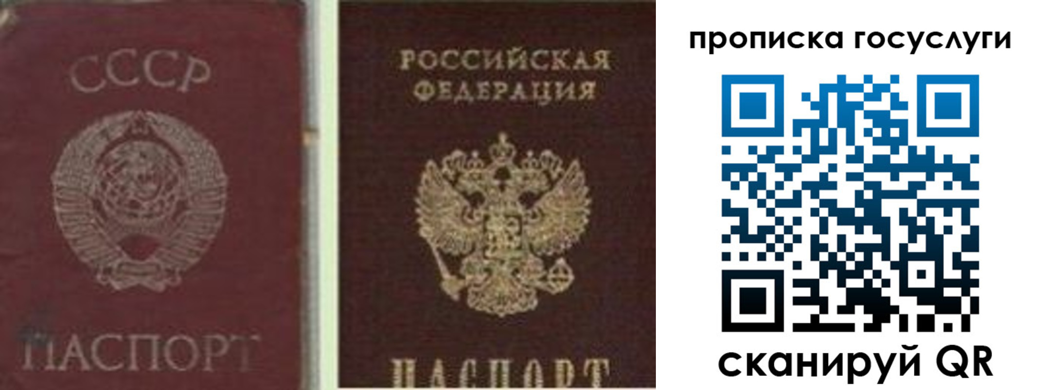 временная регистрация 2025 в Николаевске-на-Амуре